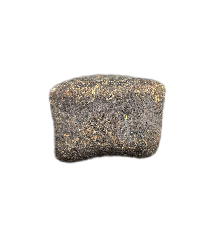 Achelousaurus Toe, Two Medicine Formation