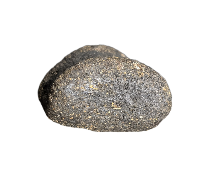 Achelousaurus Toe, Two Medicine Formation