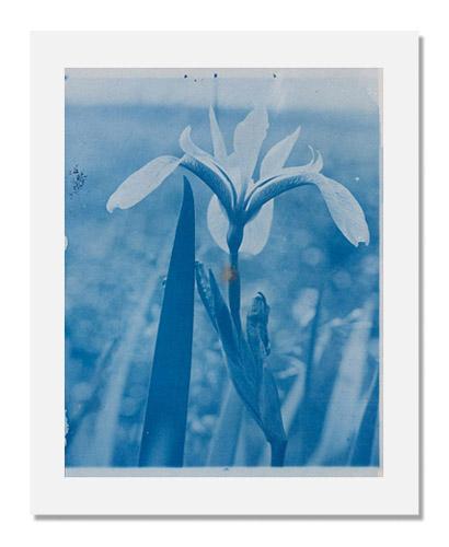 MFA Prints archival replica print artwork