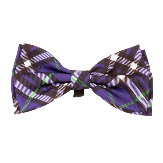 BIAS-PLAID-PURPLE-DOG-BOW-TIE