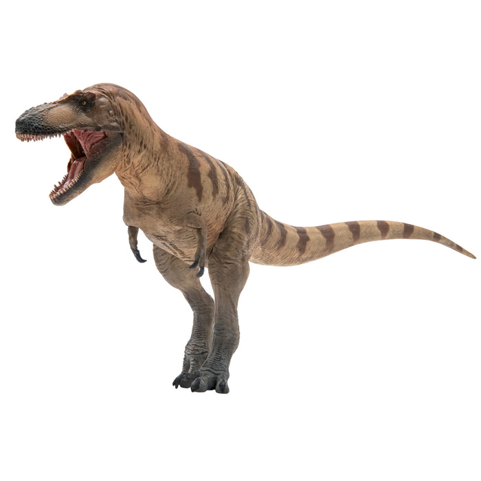 Cole the Daspletosaurus, PNSO