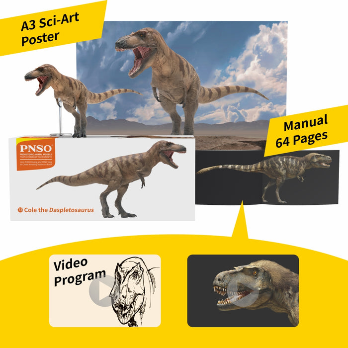 Cole the Daspletosaurus, PNSO