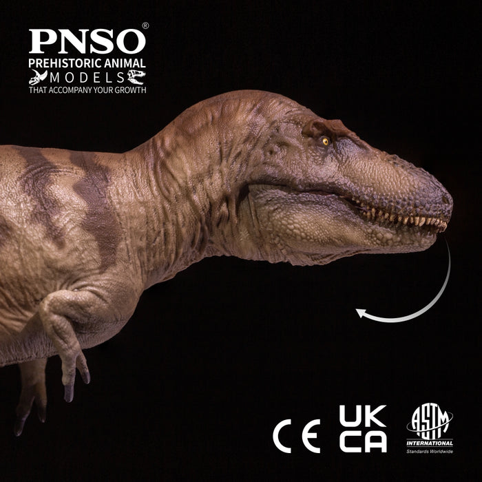 Cole the Daspletosaurus, PNSO
