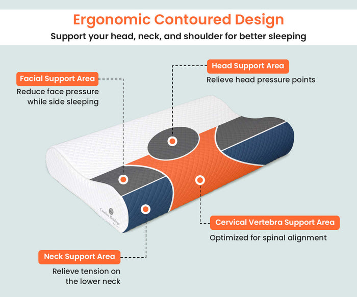 Contoured Cervical Memory Foam Pillow