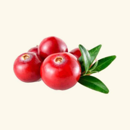 Cranberry Flavor Oil