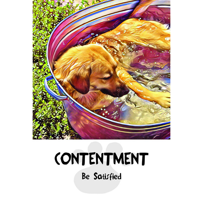 Divine Dog Wisdom Cards