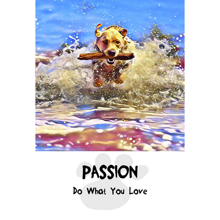 Divine Dog Wisdom Cards