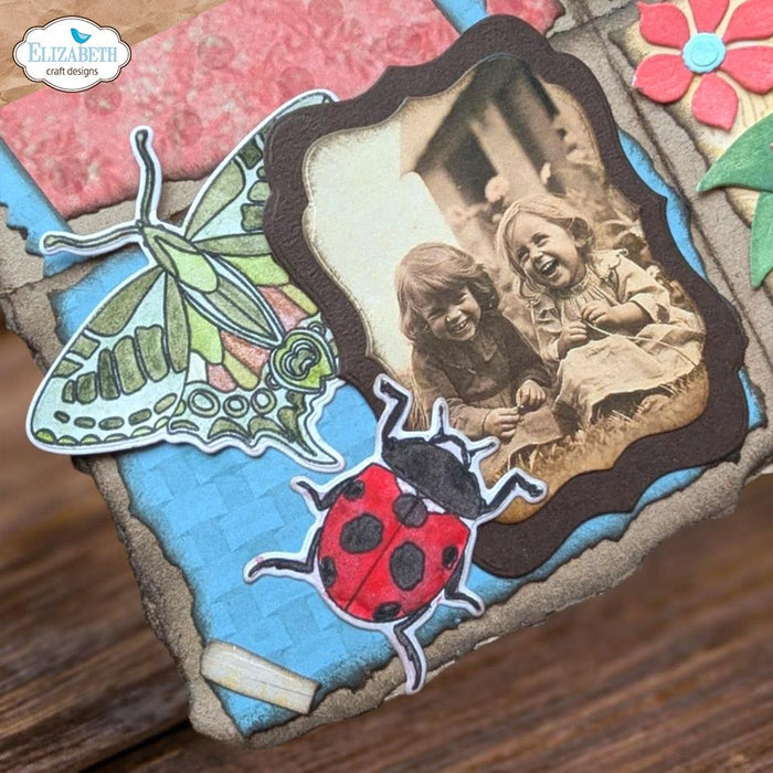 Elizabeth Craft Designs | 6x8 Beetles & Bugs Stamp & Die Set