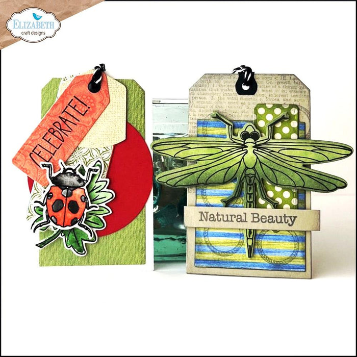 Elizabeth Craft Designs | 6x8 Beetles & Bugs Stamp & Die Set