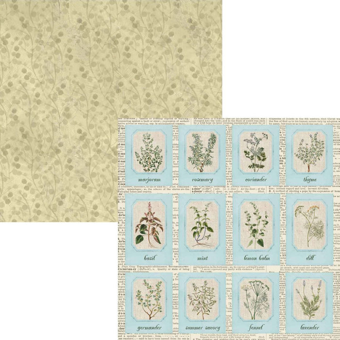 Elizabeth Craft Designs | Delightful Discovery 12x12 Paper Pack