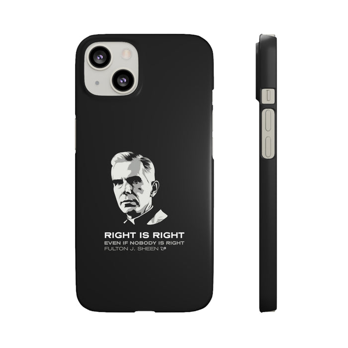 iPhone 13 / Matte