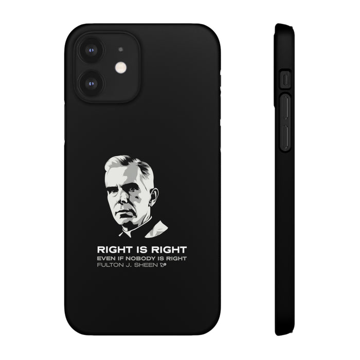 iPhone 12 / Matte