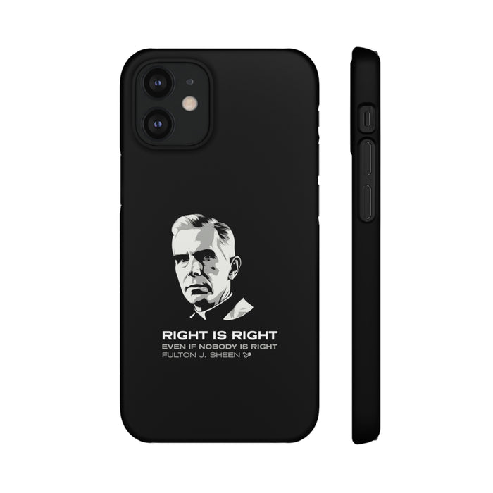 iPhone 12 Mini / Matte