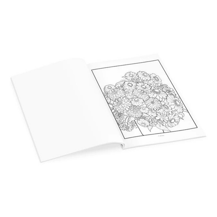 Gustave Baumann Coloring Book