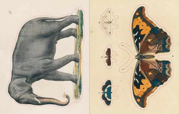 John Derian Sticker Book
