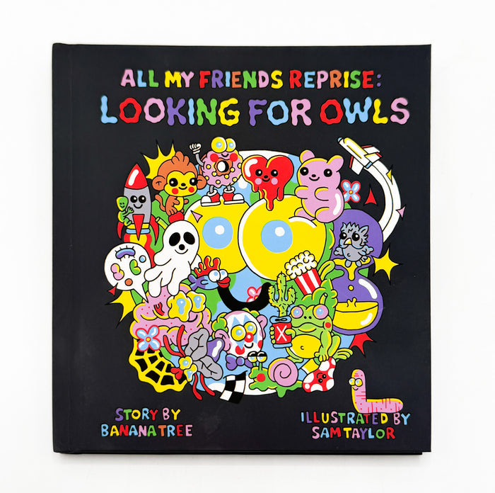 Looking For Owls Book