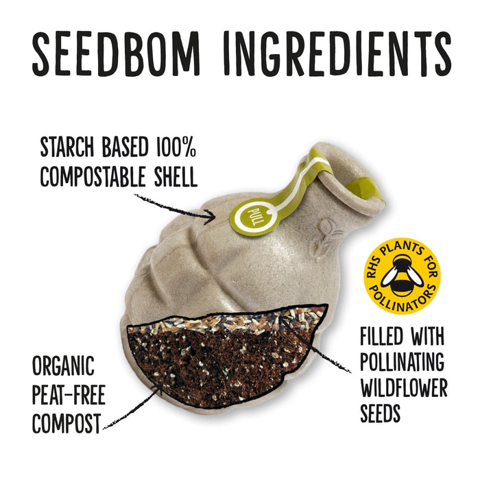 Lovebom (Forget-Me-Not) Seedbom