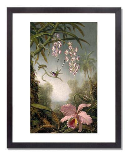 MFA Prints archival replica print of Martin Johnson Heade, Orchids and Spray Orchids with Hummingbirds from the Museum of Fine Arts, Boston collection.