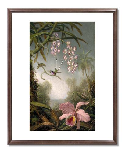 MFA Prints archival replica print of Martin Johnson Heade, Orchids and Spray Orchids with Hummingbirds from the Museum of Fine Arts, Boston collection.