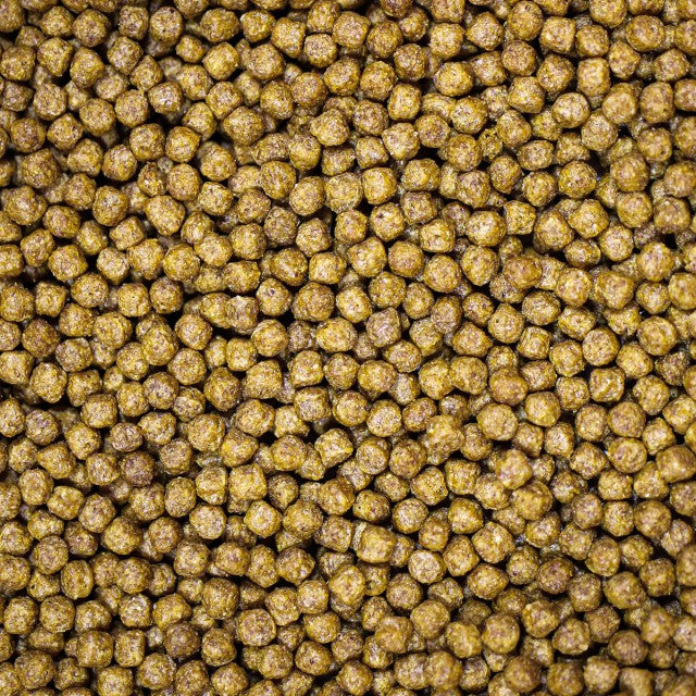 Medikoi Staple + Colour Enhancer Junior 3mm - 10kg