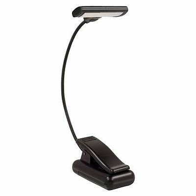 Moon Beam Clip On Reading Light