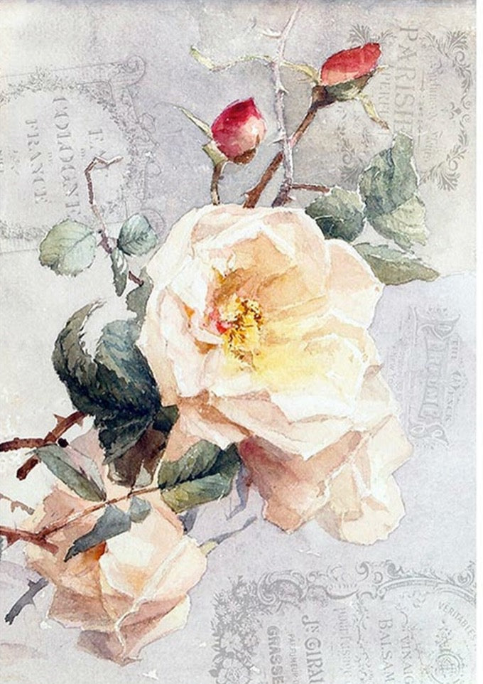 Pink Bloom, rice paper design by Paper Designs Italy, home & garden > decor > wallpaper, for decoupage and crafting