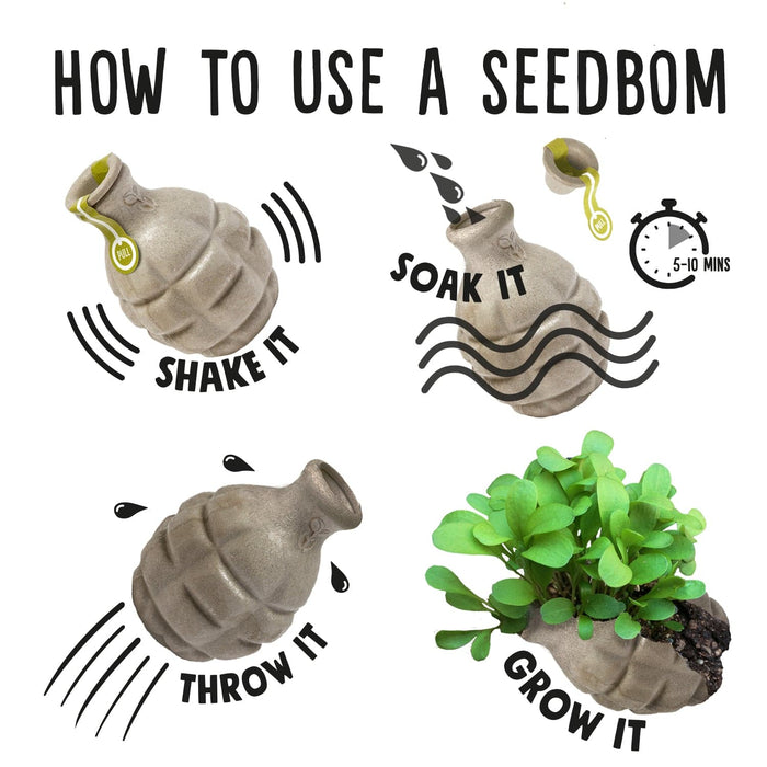 Poppy Peacebom Seedbom