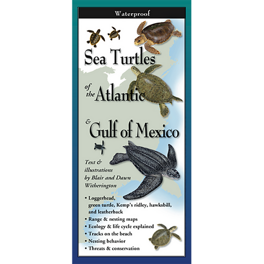 Sea Turtles of the Atlantic and the Gulf of Mexico - Folding Guide